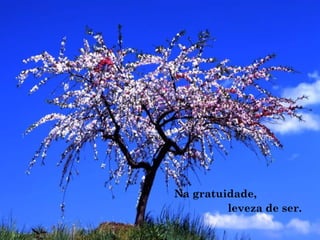 Na gratuidade,
leveza de ser.
 