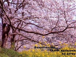 Desperdício?
Amor aprisionad
no coraçã
 