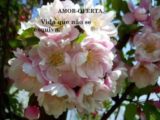 AMOR-OFERTA.
Vida que não se
esquiva.
 