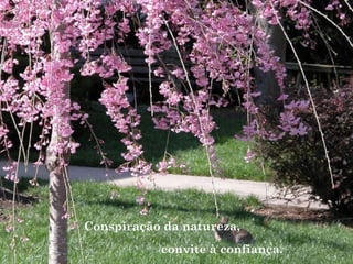 Conspiração da natureza,
convite à confiança.
 