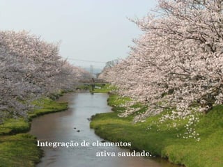 Integração de elementos
ativa saudade.
 