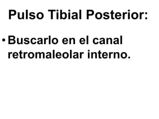 Pulso Tibial Posterior:
•Buscarlo en el canal
retromaleolar interno.
 