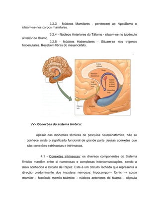 3.2.3 - Núcleos Mamilares - pertencem ao hipotálamo e
situam-se nos corpos mamilares.

                     3.2.4 - Núcleos Anteriores do Tálamo - situam-se no tubérculo
anterior do tálamo
                  3.2.5 - Núcleos Habenulares - Situam-se nos trígonos
habenulares. Recebem fibras do mesencéfalo.




      IV - Conexões do sistema límbico:


         Apesar das modernas técnicas de pesquisa neuroanatômica, não se
   conhece ainda o significado funcional de grande parte dessas conexões que
   são: conexões extrínsecas e intrínsecas.


             4.1 - Conexões intrínsecas: os diversos componentes do Sistema
límbico mantêm entre si numerosas e complexas intercomunicações, sendo a
mais conhecida o circuito de Papez. Este é um circuito fechado que representa a
direção predominante dos impulsos nervosos: hipocampo→ fórnix → corpo
mamilar→ fascículo mamilo-talâmico→ núcleos anteriores do tálamo→ cápsula
 