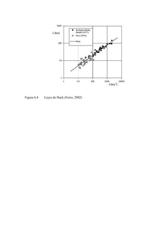 Figura 6.4 Leyes de Hack (Ferro, 2002)
 