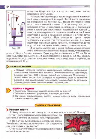 процесс ы будуr повторяться до тех пор , пока мы не
прекрат и м КЗ'!ЗТЬ воду.
Н а п ракти ке используют также поршневой жидкост­
ный насос с воздушной камерой. Такой насос схемати ч ­
но юображёtt на рисунке 127. П осле втягивания воды
через всас ывающи й кла п ан 2 в цилиндр насоса, с
rюмощью ручки 5 нажимают t-ta поршень /. Давле нием
воды в ut1линдре зак ры вается всасывающttй кла п а н 2,
вместе с тем открывается t-tаrнетательн ы й клапан J, вода
поступает в сосуд с воздушной камерой 4 и че рез трубу
ВЫЮIВЗСТСЯ 11 а ружу. П ри Дf! II ЖC IHHI руЧКII ВВерх
закрывается клапан 3 и открывается кл апа н 2 - вода
r1 оступает в uил ~1ндр. Далее процессы повторяются до тех
'---1_ _ _._--' !Юр , п ока н е нака•шют н еобходимое количество воды.
Рис. 127 А на какую высоту или с какоiJ глубииы мож110 подиять
воду с помощью таких иасосов? Вы уже знаете , что плотность
!JlУГИ в 13,6 раза бол ы 1Jе , чем ооды. Plyrь в трубке rюднимается на 760 мм. Тогда
вода подымется ~!а высоl)', в 13,6 раз бол ьшую: она равна 10 336 мм . З начит,
поршневыми ЖJШкостным и насоса11.ш можно качать воду лишь с глуб~t ны, не
r1рсвышаюшей 10 м.
1)110 МНТI,IСИО JИАТiо
• Сердце человека является удивительным насосом, непрерывно
работающим в течение жизни человека. Оно перекачиеает за одну минуту
6 л крови, за сутки- 8600 л , за год- около 3 млн литров, а за 70 лет жизни­
около 220 млн литров. Если бы сердце не nерегоняло кровь по замкнутой
системе, а накачивало е какой-то резервуар, то можно было бы заполнить
бассейн длиной 100 м, шириной 100 м и глубиной 22 м.
IOПI'OCW М UjiAJIMI
1. Какие тиnы nоршневых жидкостных насосов вы знаете?
2. Объясните, каково их устройство и принцип действия.
3. На какую максимальную высоту можно поднять воду nоршневым
жидкостным насосом?
>Реwаем •месте
1. Кому легч е вытя пшать ногу ю грязи: корове или ло ш ади?
Ответ: леr.~е вытягнвать ногу из грязи корове, так
как у нее, в отли•1ие от лошад 11 , копыто ра:швоено.
2. Н а ри сун ке 128нзображен •~ая морс кая звезда.
За счёт чего она может легко цепляться к !Юрс ком у
дt~у или к друпtм предметам ?
Ответ: за сч ёт большого кошtчествн присосок в
н~1ж ней ч асти звезды.
Рис. 128
 