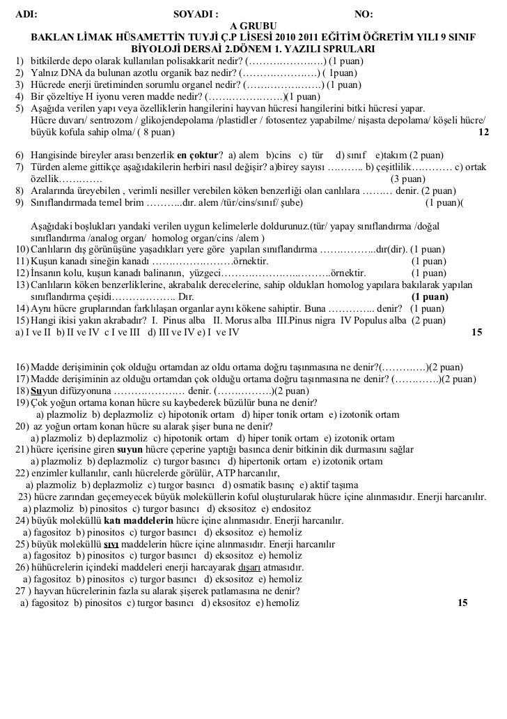 9 Sinif Biyoloji 2 Donem 1 Yazili Sorulari
