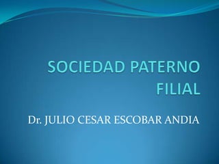 Dr. JULIO CESAR ESCOBAR ANDIA

 