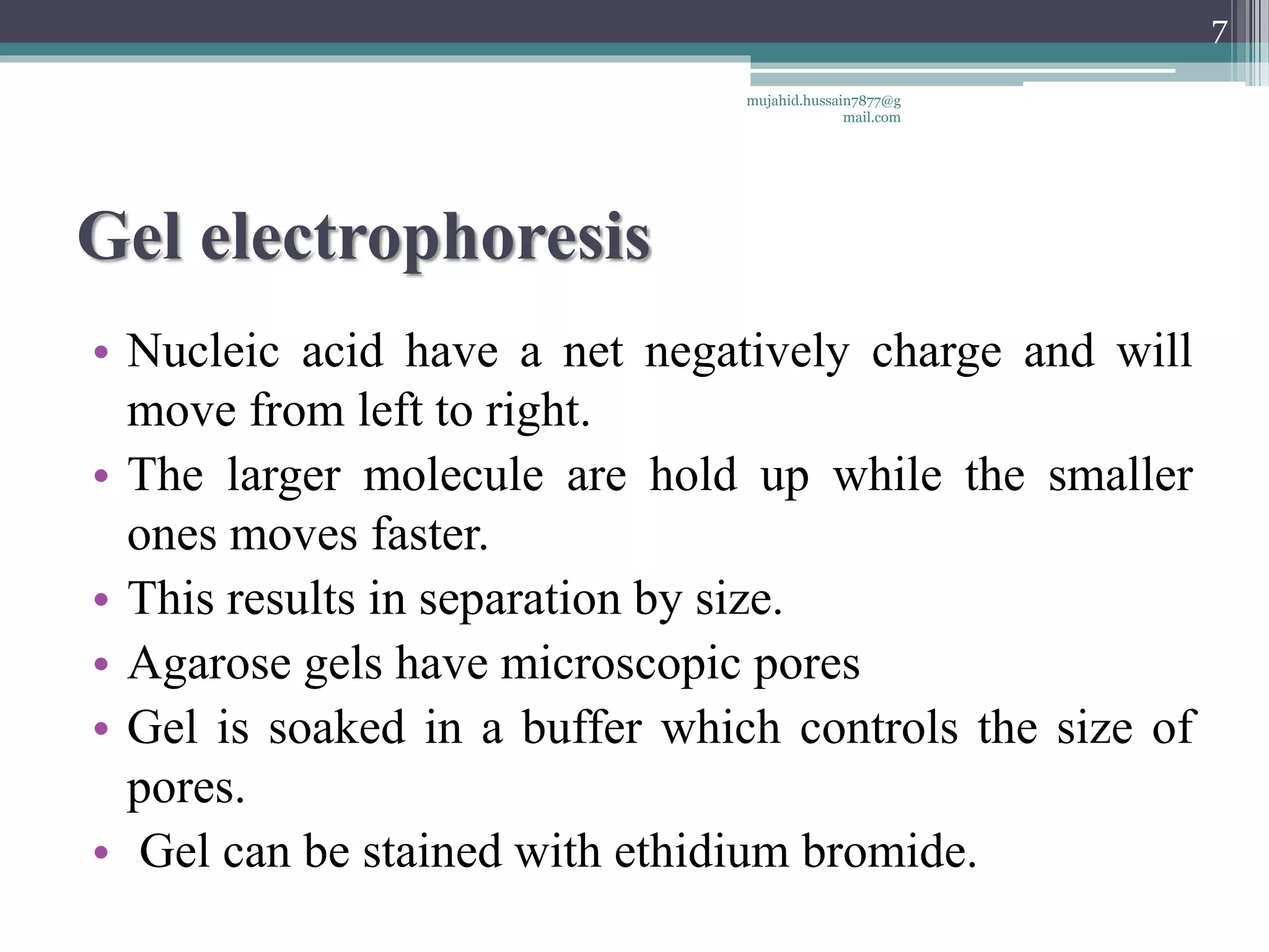 Gel electrophoresis
• Nucleic acid have a net negatively charge and will
move from left to right.
• The larger molecule are hold up while the smaller
ones moves faster.
• This results in separation by size.
• Agarose gels have microscopic pores
• Gel is soaked in a buffer which controls the size of
pores.
• Gel can be stained with ethidium bromide.
mujahid.hussain7877@g
mail.com
7
 
