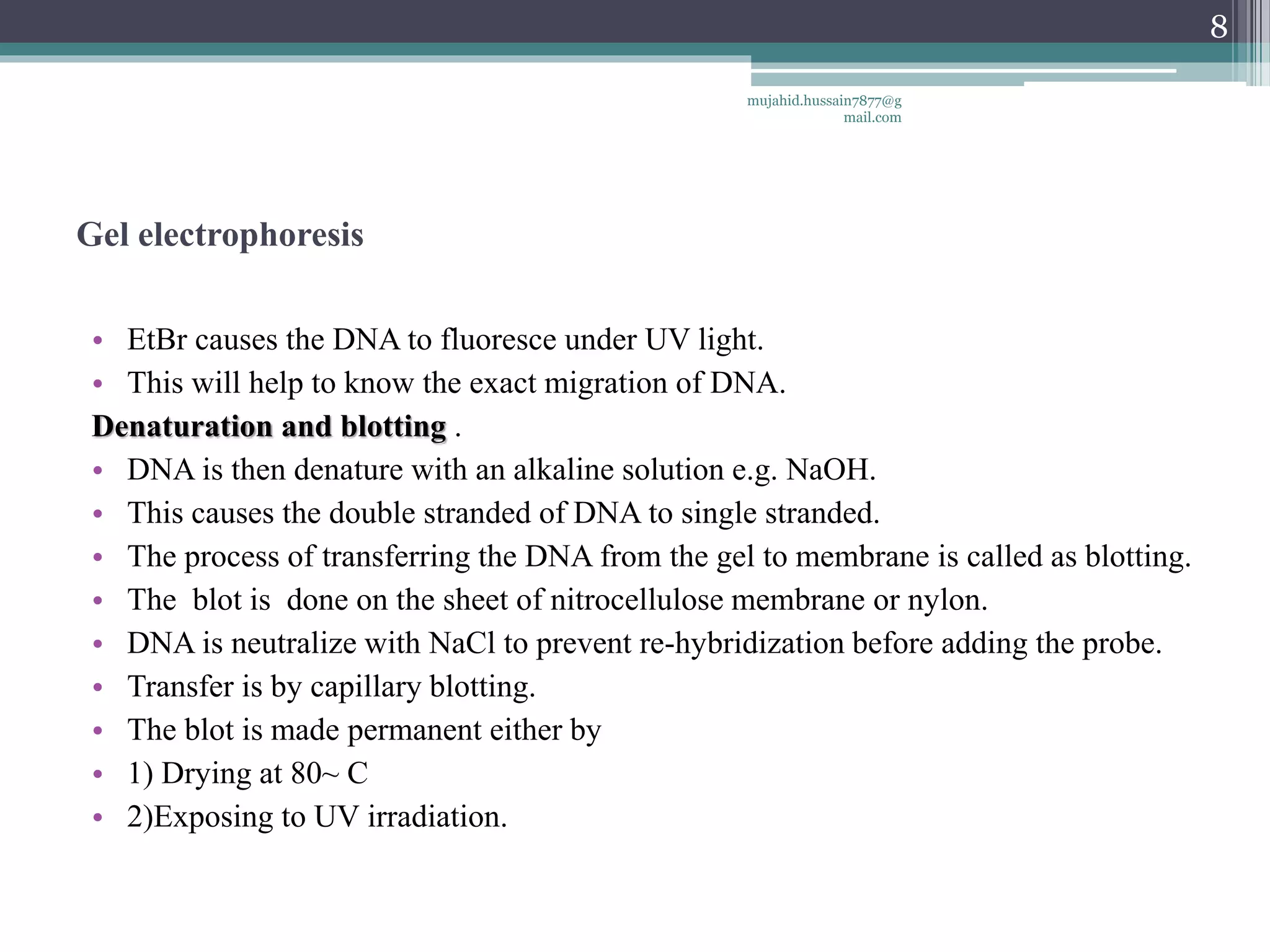Gel electrophoresis
• EtBr causes the DNA to fluoresce under UV light.
• This will help to know the exact migration of DNA.
Denaturation and blotting .
• DNA is then denature with an alkaline solution e.g. NaOH.
• This causes the double stranded of DNA to single stranded.
• The process of transferring the DNA from the gel to membrane is called as blotting.
• The blot is done on the sheet of nitrocellulose membrane or nylon.
• DNA is neutralize with NaCl to prevent re-hybridization before adding the probe.
• Transfer is by capillary blotting.
• The blot is made permanent either by
• 1) Drying at 80~ C
• 2)Exposing to UV irradiation.
mujahid.hussain7877@g
mail.com
8
 