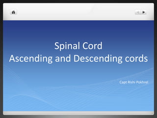 Spinal Cord
Ascending and Descending cords
Capt Rishi Pokhrel
 