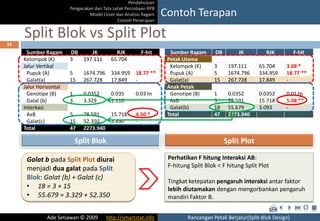 Rancangan Petak Berjalur (Split Blok) | PPTX