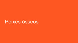 Peixes ósseos
 