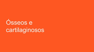 Ósseos e
cartilaginosos
 