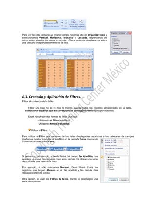 Para ver las dos ventanas al mismo tiempo hacemos clic en Organizar todo y
seleccionamos Vertical, Horizontal, Mosaico o Cascada, dependiendo de
cómo estén situados los datos en la hoja. Ahora podemos desplazarnos sobre
una ventana independientemente de la otra.




6.3. Creación y Aplicación de Filtros.
Filtrar el contenido de la tabla

     Filtrar una lista no es ni más ni menos que de todos los registros almacenados en la tabla,
   seleccionar aquellos que se correspondan con algún criterio fijado por nosotros.

      Excel nos ofrece dos formas de filtrar una lista.
               - Utilizando el Filtro (autofiltro).
               - Utilizando filtros avanzados.

        Utilizar el Filtro.

Para utilizar el Filtro nos servimos de las listas desplegables asociadas a las cabeceras de campos
(podemos mostrar u ocultar el autofiltro en la pestaña Datos marcando
o desmarcando el botón Filtro).




Si pulsamos, por ejemplo, sobre la flecha del campo 1er Apellido, nos
aparece un menú desplegable como este, donde nos ofrece una serie
de opciones para realizar el filtro.

Por ejemplo, si sólo marcamos Moreno, Excel filtrará todos los
registros que tengan Moreno en el 1er apellido y las demás filas
'desaparecerán' de la lista.

Otra opción, es usar los Filtros de texto, donde se despliegan una
serie de opciones:
 