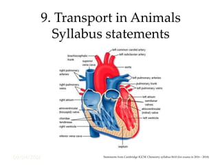 09/04/2016
9. Transport in Animals
Syllabus statements
Statements from Cambridge IGCSE Chemistry syllabus 0610 (for exams in 2016 – 2018)
 