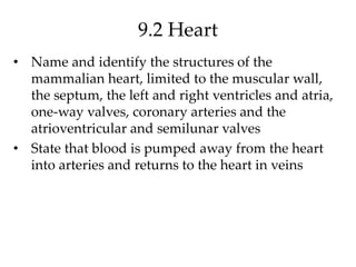 9.2 Heart
• Name and identify the structures of the
mammalian heart, limited to the muscular wall,
the septum, the left and right ventricles and atria,
one-way valves, coronary arteries and the
atrioventricular and semilunar valves
• State that blood is pumped away from the heart
into arteries and returns to the heart in veins
 