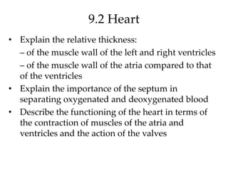 9.2 Heart
• Explain the relative thickness:
– of the muscle wall of the left and right ventricles
– of the muscle wall of the atria compared to that
of the ventricles
• Explain the importance of the septum in
separating oxygenated and deoxygenated blood
• Describe the functioning of the heart in terms of
the contraction of muscles of the atria and
ventricles and the action of the valves
 