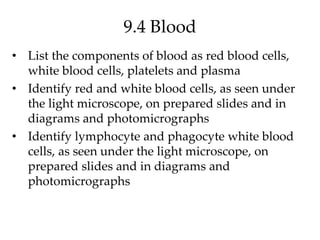 9.4 Blood
• List the components of blood as red blood cells,
white blood cells, platelets and plasma
• Identify red and white blood cells, as seen under
the light microscope, on prepared slides and in
diagrams and photomicrographs
• Identify lymphocyte and phagocyte white blood
cells, as seen under the light microscope, on
prepared slides and in diagrams and
photomicrographs
 