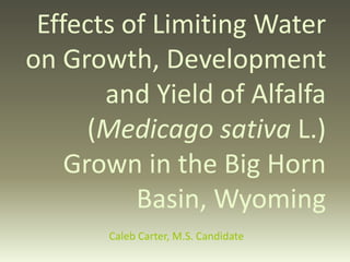 Effects of Limiting Water 
on Growth, Development 
and Yield of Alfalfa 
(Medicago sativa L.) 
Grown in the Big Horn 
Basin, Wyoming 
Caleb Carter, M.S. Candidate 
 