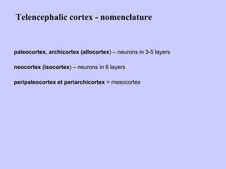 paleocortex, archicortex (allocortex ) – neurons in 3-5 layers neocortex (isocortex ) – neurons in 6 layers peripaleocortex et periarchicortex  = mesocortex Telencephalic cortex - nomenclature 