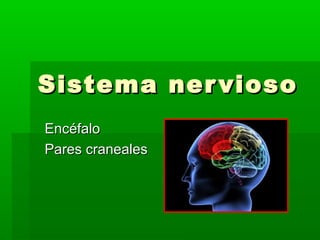 Sistema nerviosoSistema nervioso
EncéfaloEncéfalo
Pares cranealesPares craneales
 