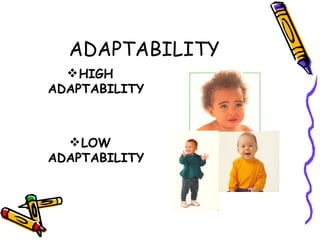 9 temperament traits | PPT