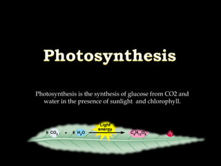 Photosynthesis is the synthesis of glucose from CO2 and
water in the presence of sunlight and chlorophyll.
 