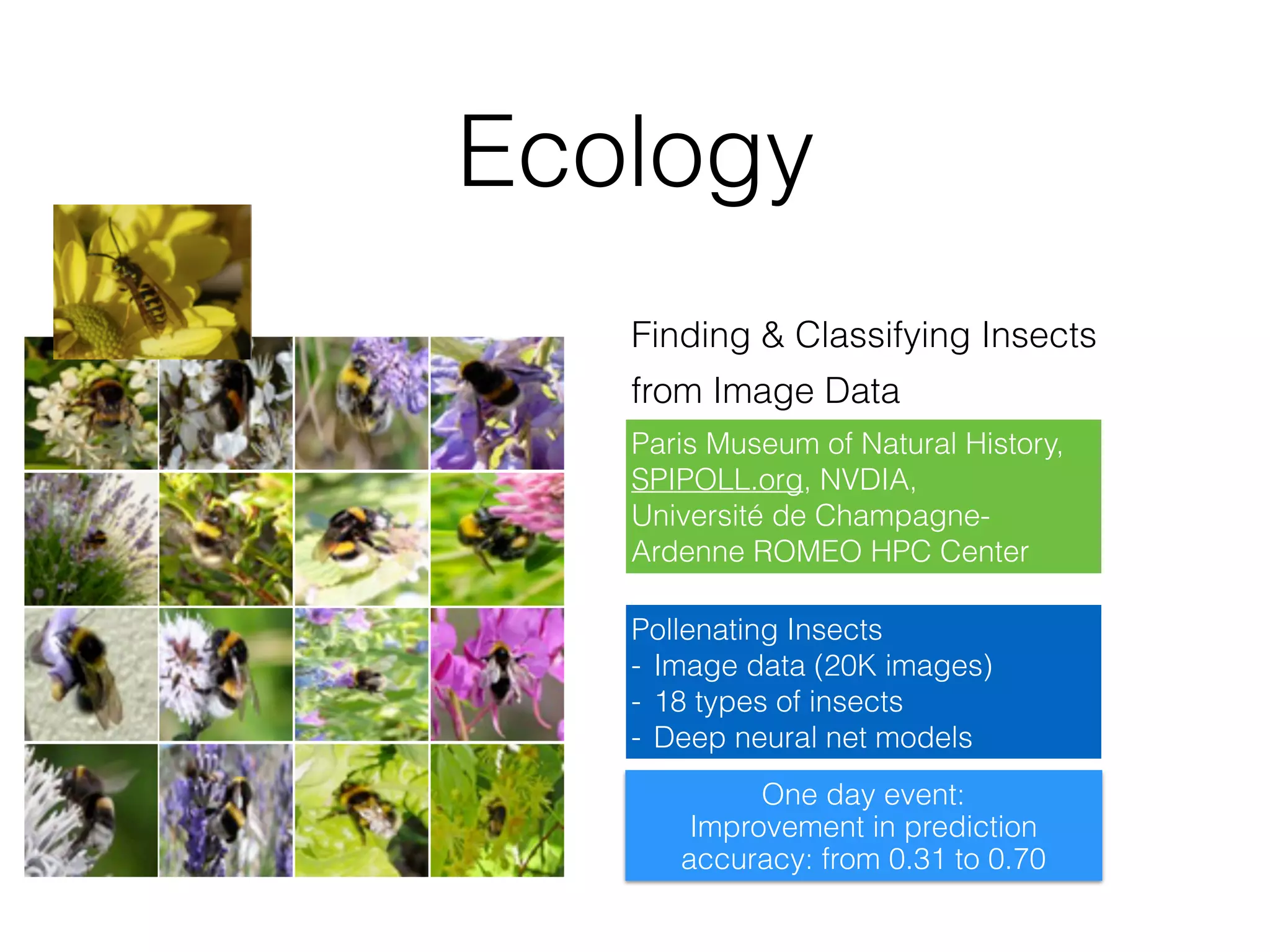 Ecology
Finding & Classifying Insects
One day event:
Improvement in prediction
accuracy: from 0.31 to 0.70
from Image Data
Pollenating Insects
- Image data (20K images)
- 18 types of insects
- Deep neural net models
Paris Museum of Natural History,
SPIPOLL.org, NVDIA,
Université de Champagne-
Ardenne ROMEO HPC Center
 
