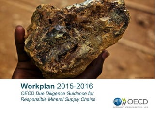 Workplan 2015-2016
OECD Due Diligence Guidance for
Responsible Mineral Supply Chains
 