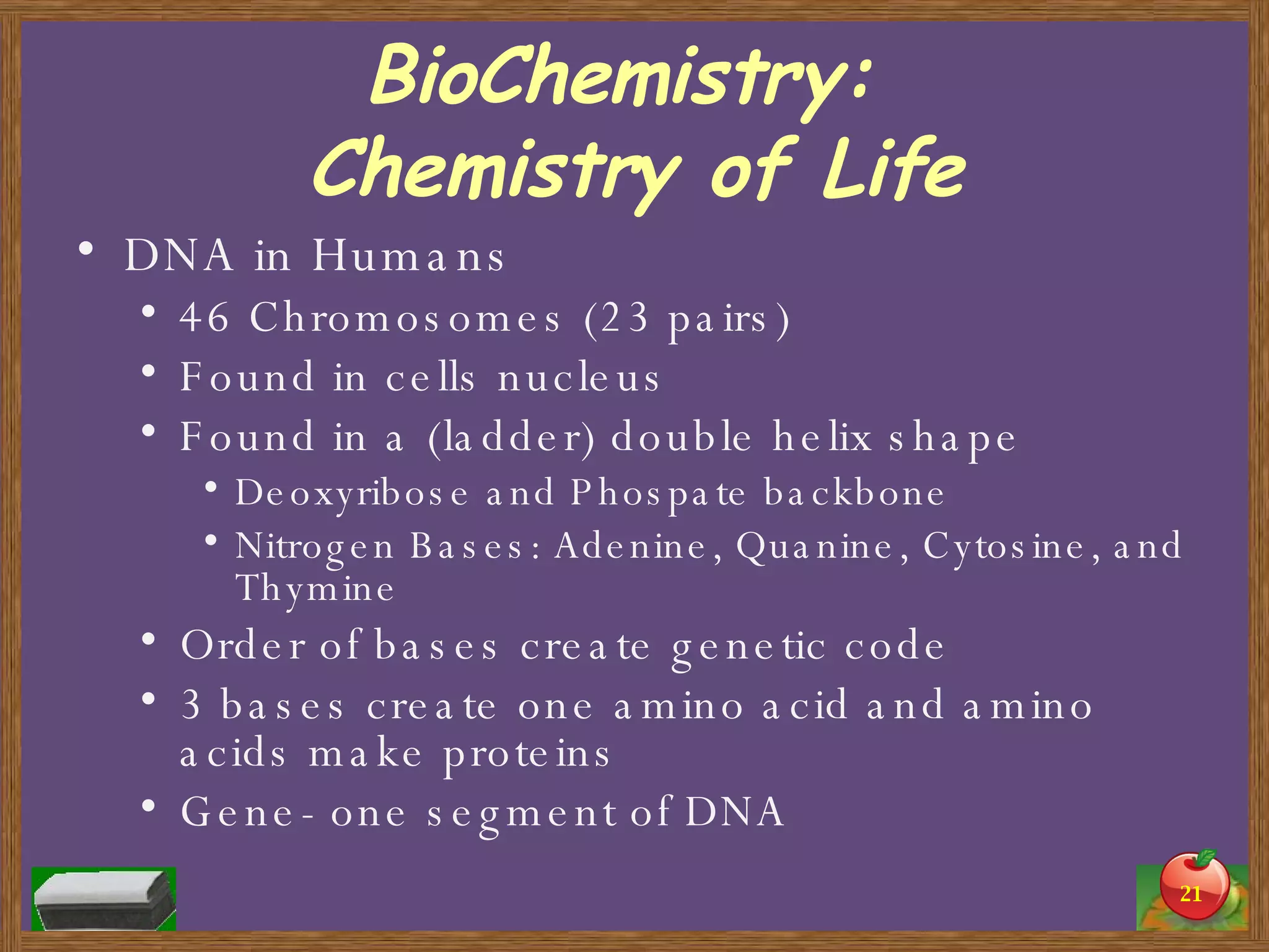 BioChemistry:  Chemistry of Life DNA in Humans 46 Chromosomes (23 pairs) Found in cells nucleus Found in a (ladder) double helix shape Deoxyribose and Phospate backbone Nitrogen Bases: Adenine, Quanine, Cytosine, and Thymine Order of bases create genetic code 3 bases create one amino acid and amino acids make proteins Gene- one segment of DNA  