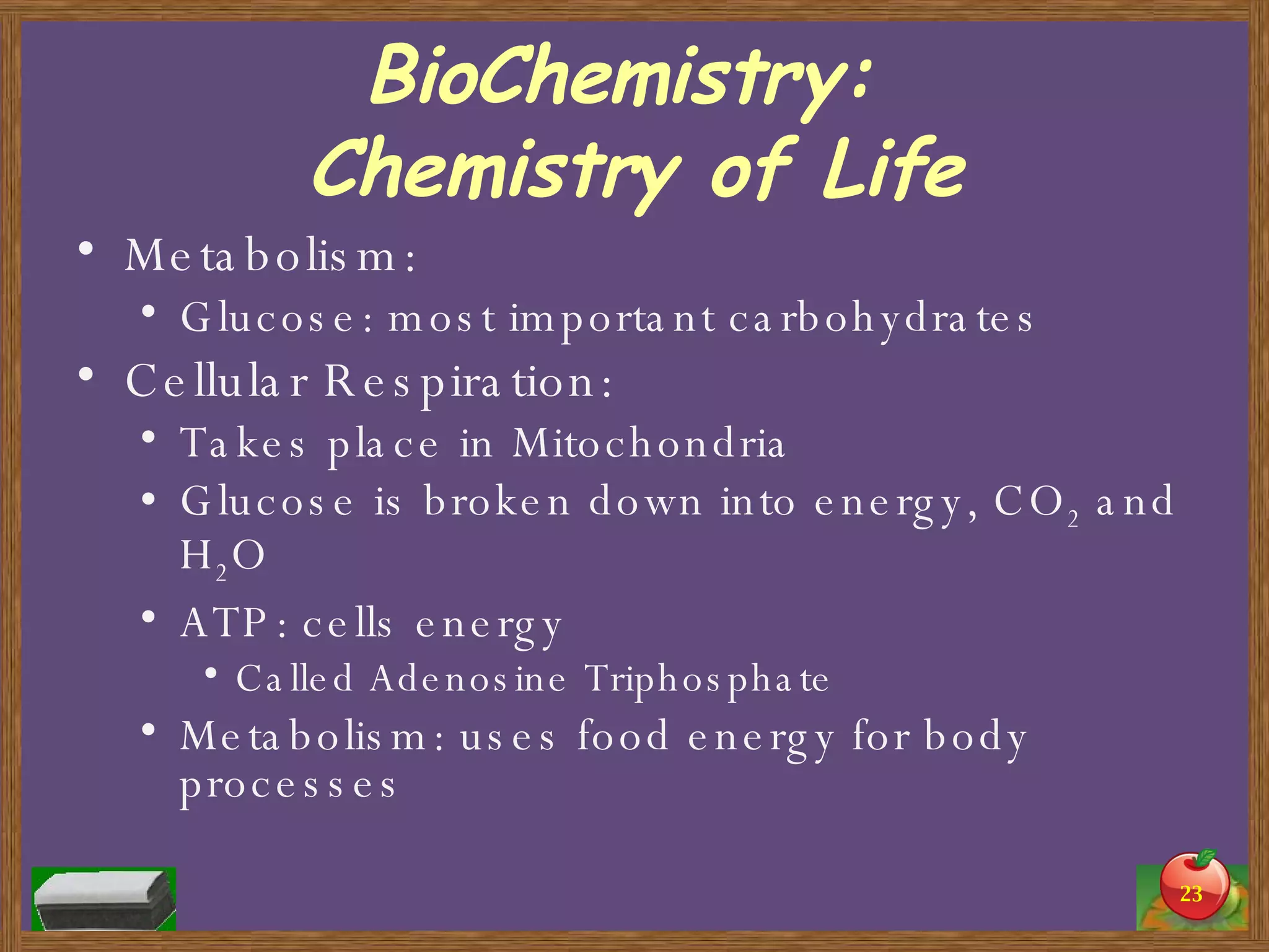 BioChemistry:  Chemistry of Life Metabolism: Glucose: most important carbohydrates Cellular Respiration: Takes place in Mitochondria Glucose is broken down into energy, CO 2  and H 2 O ATP: cells energy Called Adenosine Triphosphate Metabolism: uses food energy for body processes 