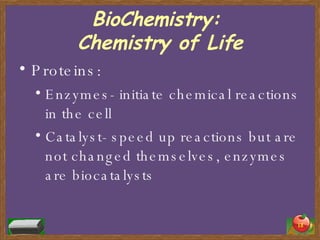 BioChemistry:  Chemistry of Life Proteins: Enzymes- initiate chemical reactions in the cell Catalyst- speed up reactions but are not changed themselves, enzymes are biocatalysts 