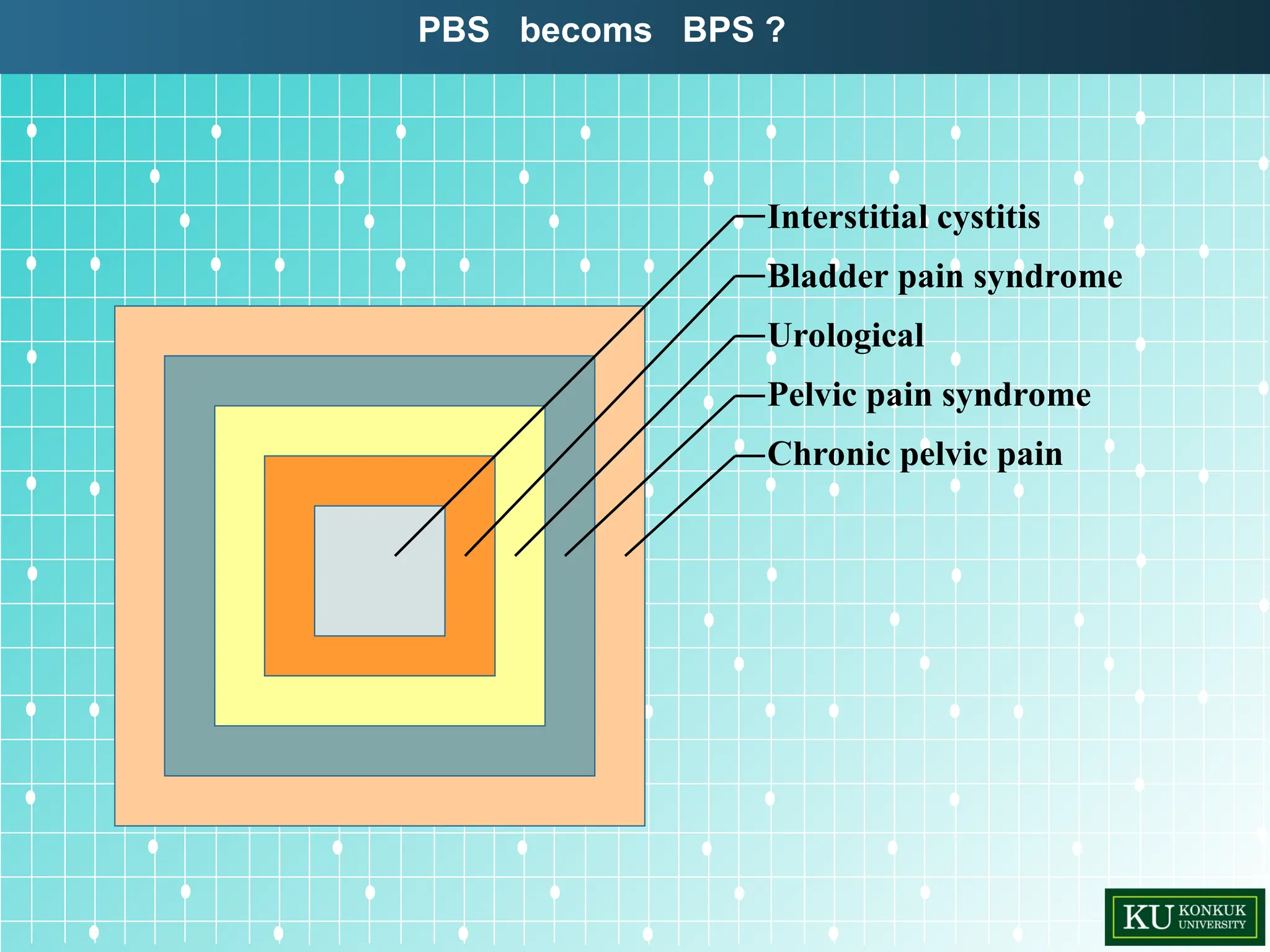 Inter Cystitis Interstitial Cystitis/ Painful Bladder Syndrome | PPT