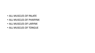 • ALL MUSCLES OF PALATE
• ALL MUSCLES OF PHARYNX
• ALL MUSCLES OF LARYNX
• ALL MUSCLES OF TONGUE
 