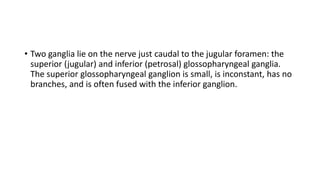 • Two ganglia lie on the nerve just caudal to the jugular foramen: the
superior (jugular) and inferior (petrosal) glossopharyngeal ganglia.
The superior glossopharyngeal ganglion is small, is inconstant, has no
branches, and is often fused with the inferior ganglion.
 