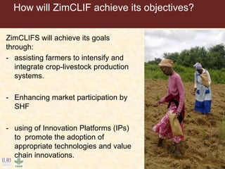 Application of the principles of Sustainable Intensification (SI) on smallholder dairy farming in Eastern and Southern Africa