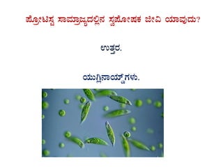 ¥ÉÆæÃn¸ÀÖ ¸ÁªÀiÁædåzÀ°è£À ¸Àé¥ÉÆÃµÀPÀ fÃ« AiÀiÁªÀÅzÀÄ?
GvÀÛgÀ.
AiÀÄÄVè£ÁAiÀiïØUÀ¼ÀÄ.
 