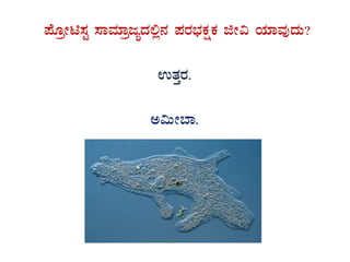 ¥ÉÆæÃn¸ÀÖ ¸ÁªÀiÁædåzÀ°è£À ¥ÀgÀ¨sÀPÀëPÀ fÃ« AiÀiÁªÀÅzÀÄ?
GvÀÛgÀ.
C«ÄÃ¨Á.
 