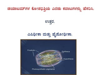 qÀAiÀiÁlªÀiïUÀ¼À PÉÆÃ±À©üwÛAiÀÄ JgÀqÀÄ PÀªÁlUÀ¼À£ÀÄß ºÉ¸Àj¹.
GvÀÛgÀ.
J¦yÃPÁ ªÀÄvÀÄÛ ºÉÊ¥ÉÆÃyÃPÁ.
 