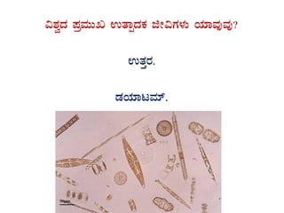 «±ÀézÀ ¥ÀæªÀÄÄR GvÁàzÀPÀ fÃ«UÀ¼ÀÄ AiÀiÁªÀÅªÀÅ?
GvÀÛgÀ.
qÀAiÀiÁlªÀiï.
 