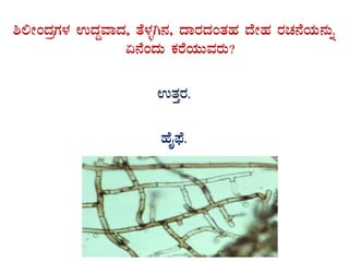 ²°ÃAzÀæUÀ¼À GzÀÝªÁzÀ, vÉ¼ÀîV£À, zÁgÀzÀAvÀºÀ zÉÃºÀ gÀZÀ£ÉAiÀÄ£ÀÄß
K£ÉAzÀÄ PÀgÉAiÀÄÄªÀgÀÄ?
GvÀÛgÀ.
ºÉÊ¥sÉ.
 