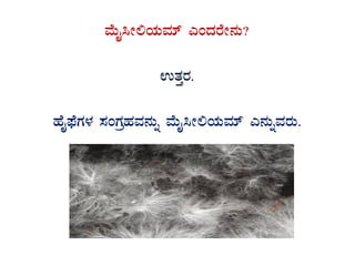 ªÉÄÊ¹Ã°AiÀÄªÀiï JAzÀgÉÃ£ÀÄ?
GvÀÛgÀ.
ºÉÊ¥sÉUÀ¼À ¸ÀAUÀæºÀªÀ£ÀÄß ªÉÄÊ¹Ã°AiÀÄªÀiï J£ÀÄßªÀgÀÄ.
 