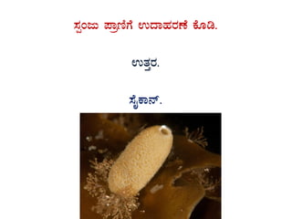 ¸ÀàAdÄ ¥ÁætÂUÉ GzÁºÀgÀuÉ PÉÆr.
GvÀÛgÀ.
¸ÉÊPÁ£ï.
 