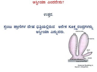 D¹ÖÃAiÀiÁ JAzÀgÉÃ£ÀÄ?
GvÀÛgÀ.
¸ÀàAdÄ ¥ÁætÂUÀ¼À zÉÃºÀ ©üwÛAiÀÄ°ègÀÄªÀ C£ÉÃPÀ ¸ÀÆPÀëöägÀAzÀæUÀ¼À£ÀÄß
D¹ÖÃAiÀiÁ J£ÀÄßªÀgÀÄ.
 