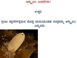 D¸ÀÄÌöå®A JAzÀgÉÃ£ÀÄ?
GvÀÛgÀ.
¸ÀàAdÄ ¥ÁætÂUÀ¼À°ègÀÄªÀ zÉÆqÀØ ¨Á¬ÄAiÀÄAvÀºÀ gÀAzÀæªÀ£ÀÄß D¸ÀÄÌöå®A
J£ÀÄßªÀgÀÄ.
 