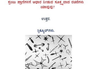 ¸ÀàAdÄ ¥ÁætÂUÀ½UÉ DzsÁgÀ ¤ÃqÀÄªÀ ¸ÀÆPÀëöäªÁzÀ gÀZÀ£ÉUÀ¼ÀÄ
AiÀiÁªÀÅªÀÅ?
GvÀÛgÀ.
¹àPÀÆå¯ïUÀ¼ÀÄ.
 