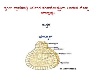 ¸ÀàAdÄ ¥ÁætÂUÀÀ¼À°è ¤°ðAUÀ ¸ÀAvÁ£ÉÆÃvÀàwÛAiÀÄ DAvÀjPÀ ªÉÆUÀÄÎ
AiÀiÁªÀÅªÀÅ?
GvÀÛgÀ.
eÉªÀÄÆå¯ï.
 