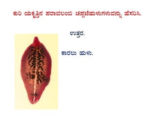 PÀÄj AiÀÄPÀÈwÛ£À ¥ÀgÁªÀ®A© ZÀ¥ÀàmÉºÀÄ¼ÀÄUÀ¼ÀÄªÀ£ÀÄß ºÉ¸Àj¹.
GvÀÛgÀ.
PÁgÀ®Ä ºÀÄ¼ÀÄ.
 