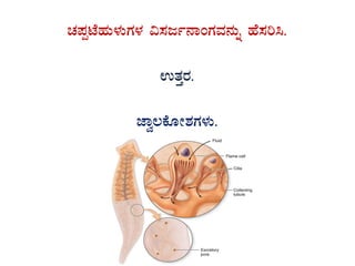 ZÀ¥ÀàmÉºÀÄ¼ÀÄUÀ¼À «¸Àdð£ÁAUÀªÀ£ÀÄß ºÉ¸Àj¹.
GvÀÛgÀ.
eÁé®PÉÆÃ±ÀUÀ¼ÀÄ.
 