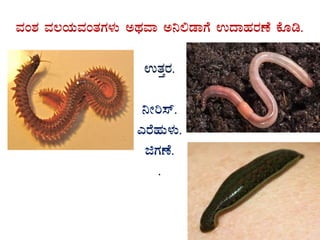 ªÀA±À ªÀ®AiÀÄªÀAvÀUÀ¼ÀÄ CxÀªÁ C¤°qÁUÉ GzÁºÀgÀuÉ PÉÆr.
GvÀÛgÀ.
¤Ãj¸ï.
JgÉºÀÄ¼ÀÄ.
fUÀuÉ.
.
 